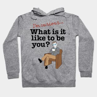 What is it Like-male Hoodie